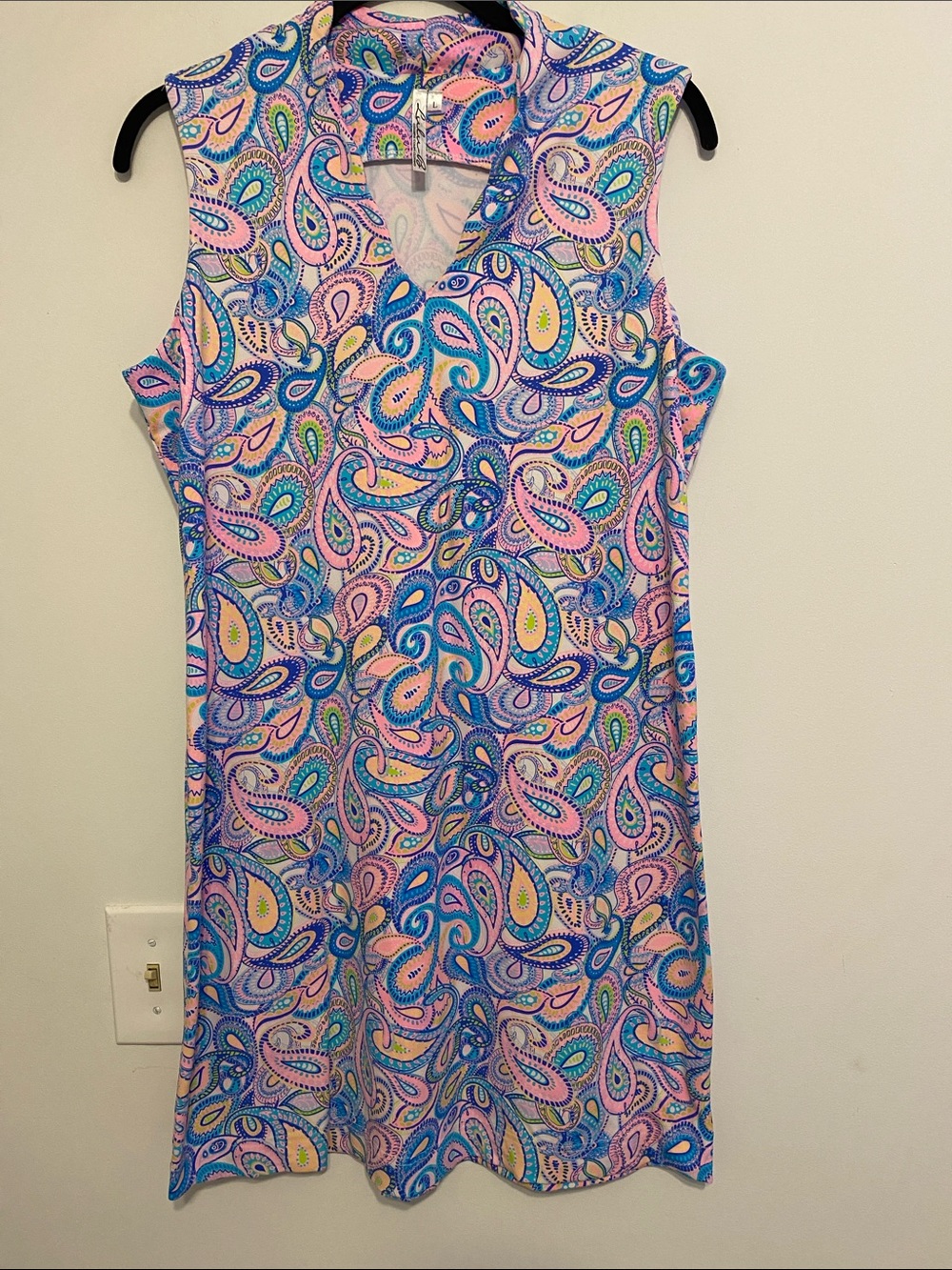Lulu-B Sleeveless Paisley Mini Dress in Pink and Blue